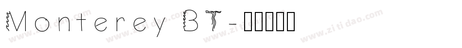 Monterey BT字体转换